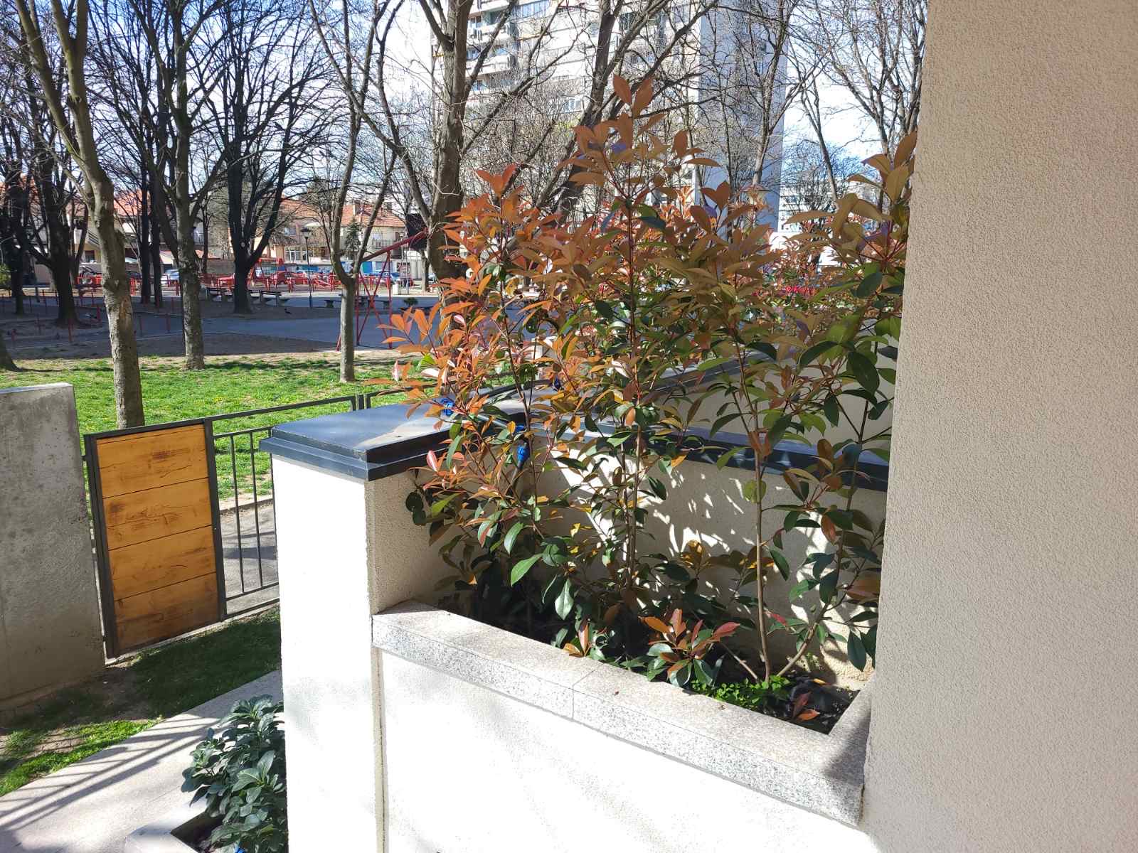 Rasadnik Tilija galerija 1