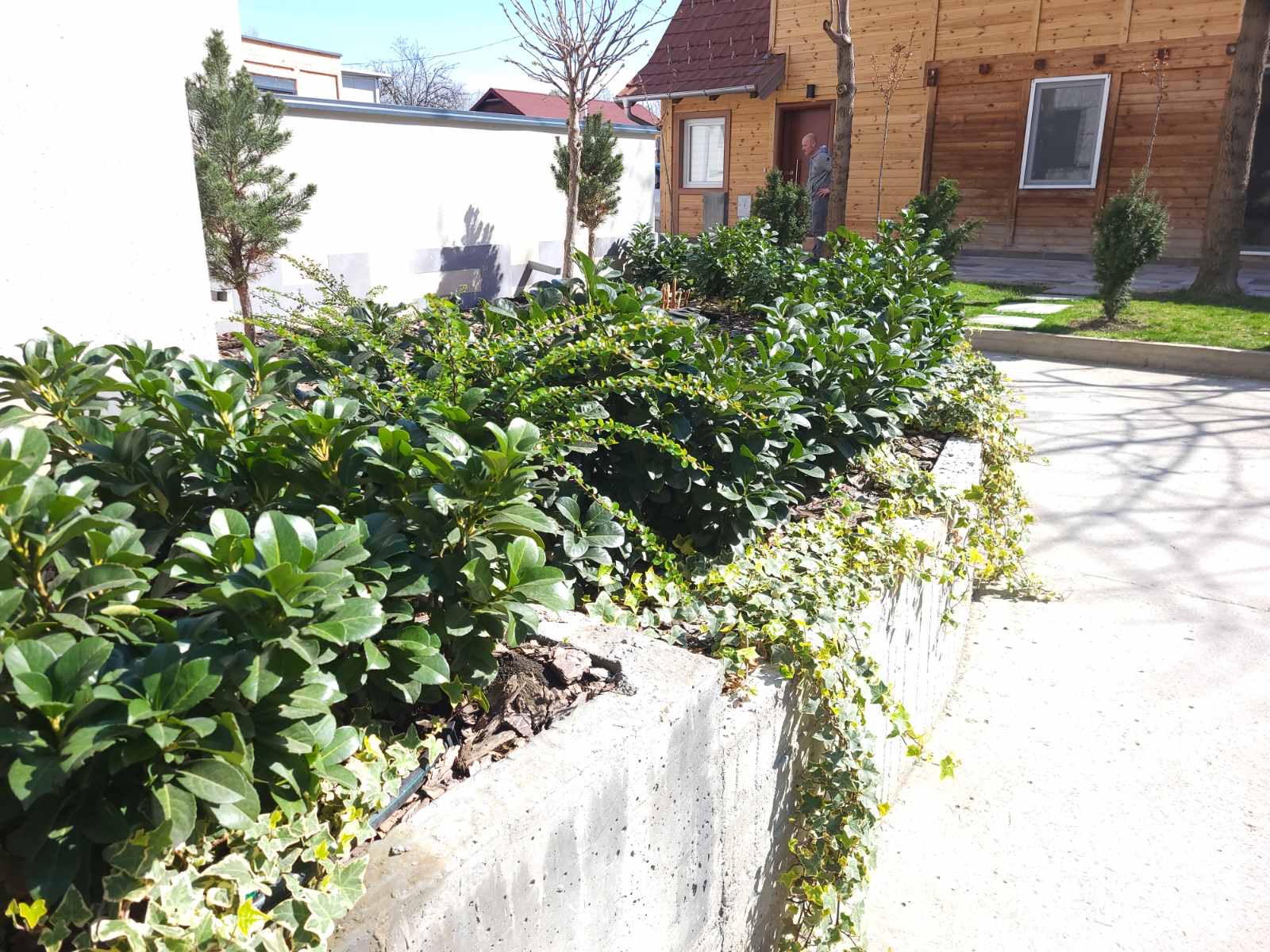 Rasadnik Tilija galerija 13