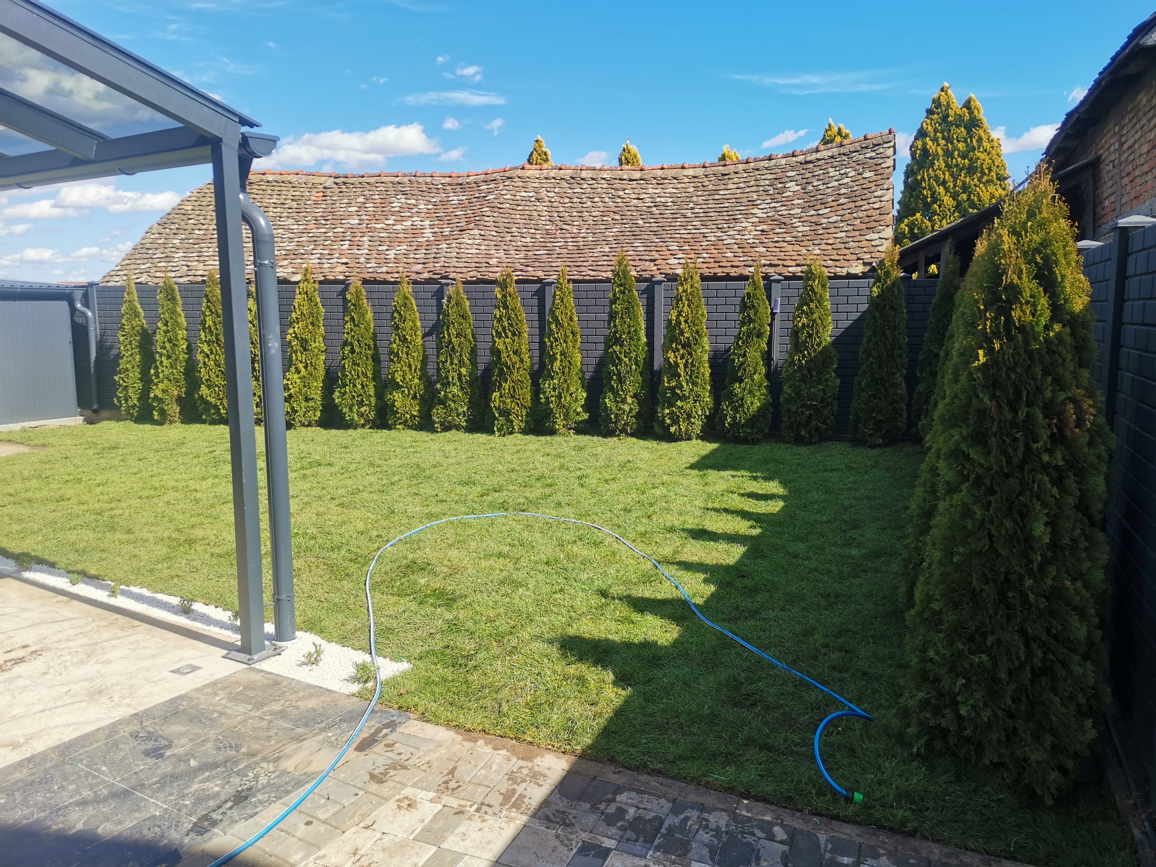 Rasadnik Tilija galerija 7